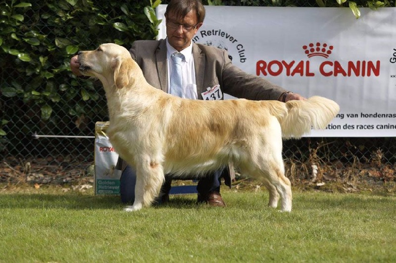 CH. Dolce vita Du bois de la rayere